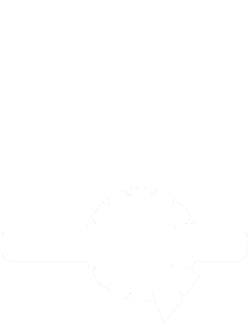 am-std-cc-logo-white