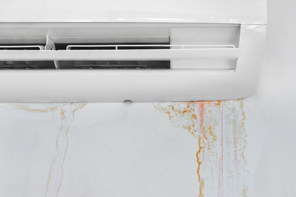 culprits AC unit leaking water
